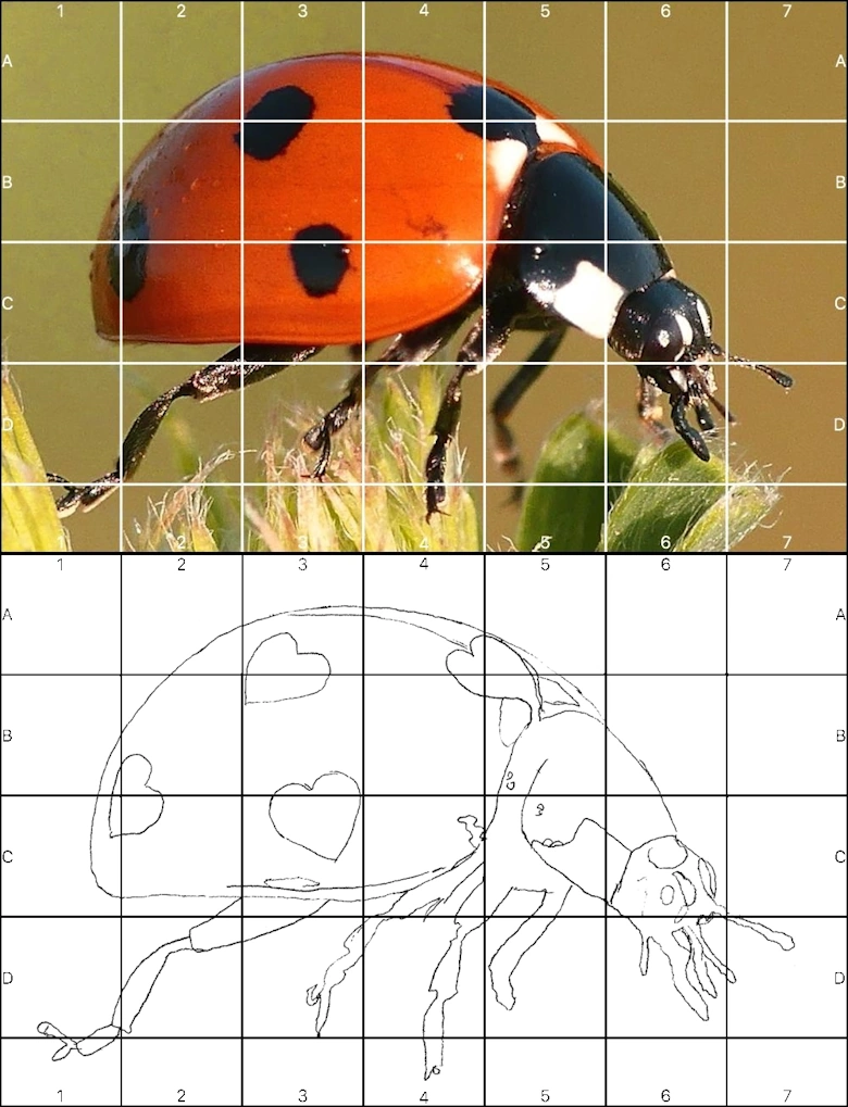 Wie kann ich einen Raster über ein Bild legen?
