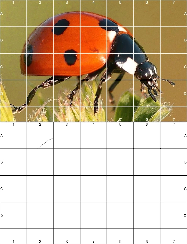 Rasteransatz korrekte Proportionen Skizze über Rasterfoto