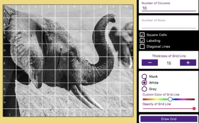 cuadrícula de color superposición de cuadrícula para imagen gris negro blanco